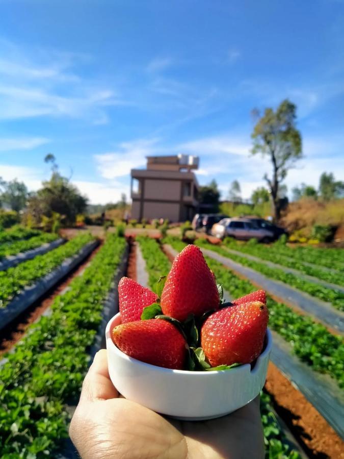 Divine Resort - Mahabaleshwar Panchgani Exteriör bild